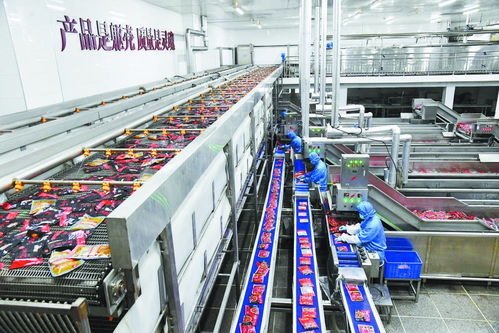 石家莊味道闖市場 銅陵名流超市的融合與創(chuàng)新