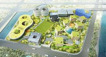 上海三大名校齊聚，銅陵名流超市周邊崛起新教育強區